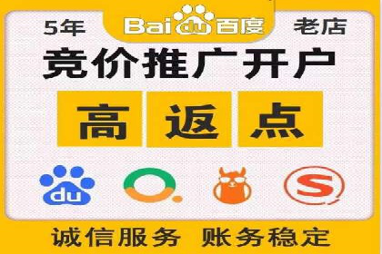 深度解析：竞价推广公司经典案例